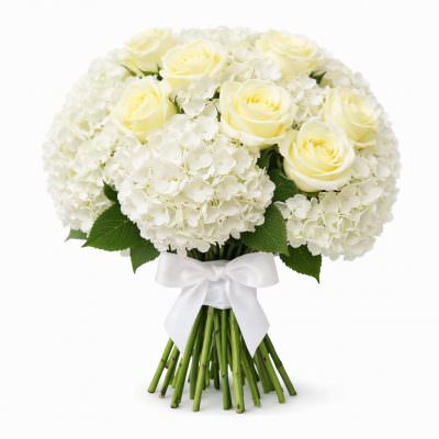 Гортензия белая