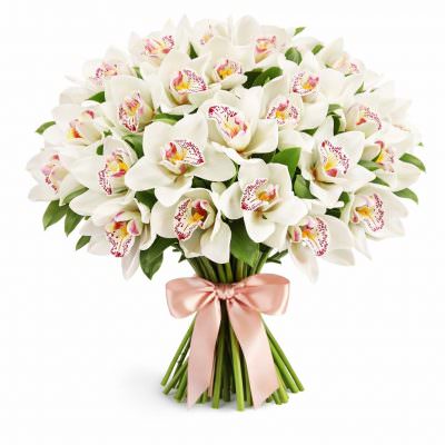 Орхидея белая