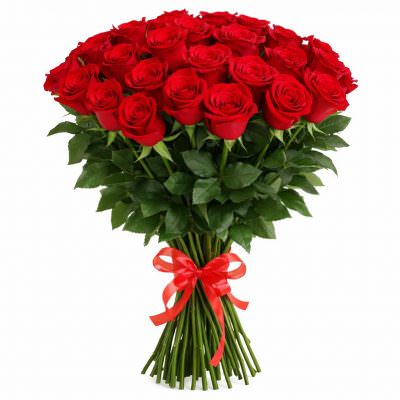 Розы Голландия красные