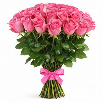 Розы Голландия розовые