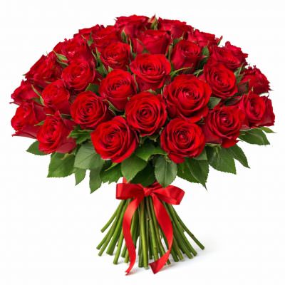 Розы Кения красные