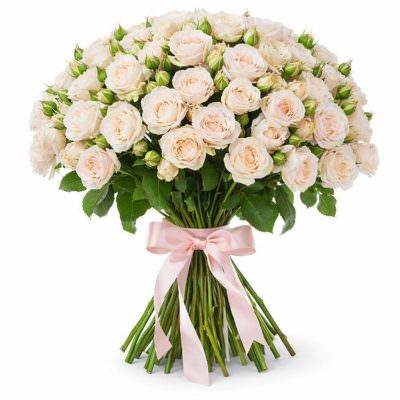 Розы Кустовые белые