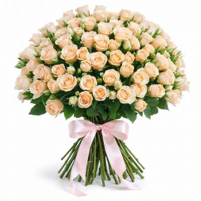 Розы Кустовые кремовые