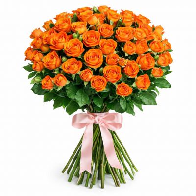Розы Кустовые оранжевые