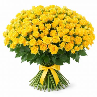 Розы Кустовые желтые