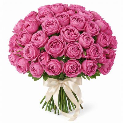 Розы Пионовидные розовые