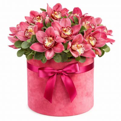 Шляпная коробка с орхидеями «Сафари»