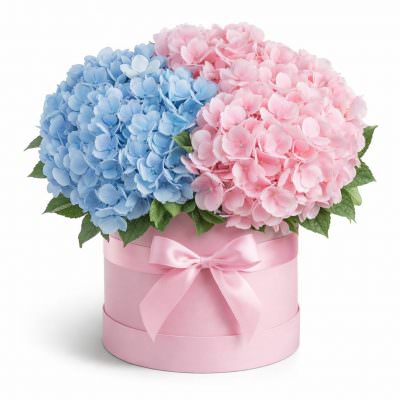 Коробочка с гортензиями «Трепет»