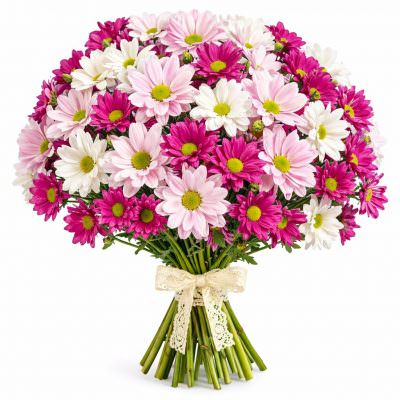 Хризантема кустовая микс 4