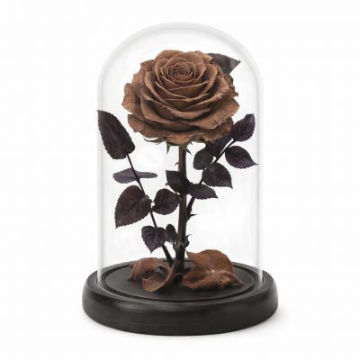 Роза в колбе коричневая