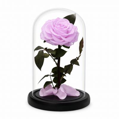 Роза в колбе светло-лиловая