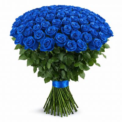 Розы Эквадор голубые