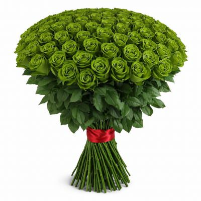 Розы Эквадор зеленые