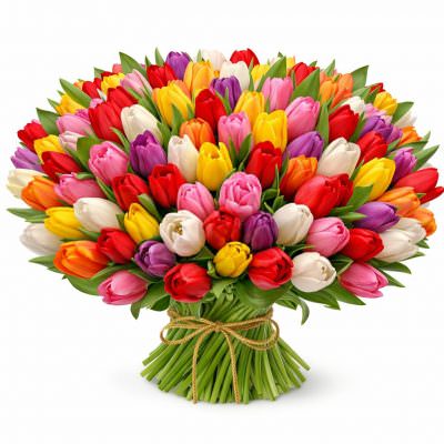 Акция! Тюльпаны 101 шт.